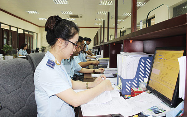 Khai báo hải quan và tư vấn nhập khẩu